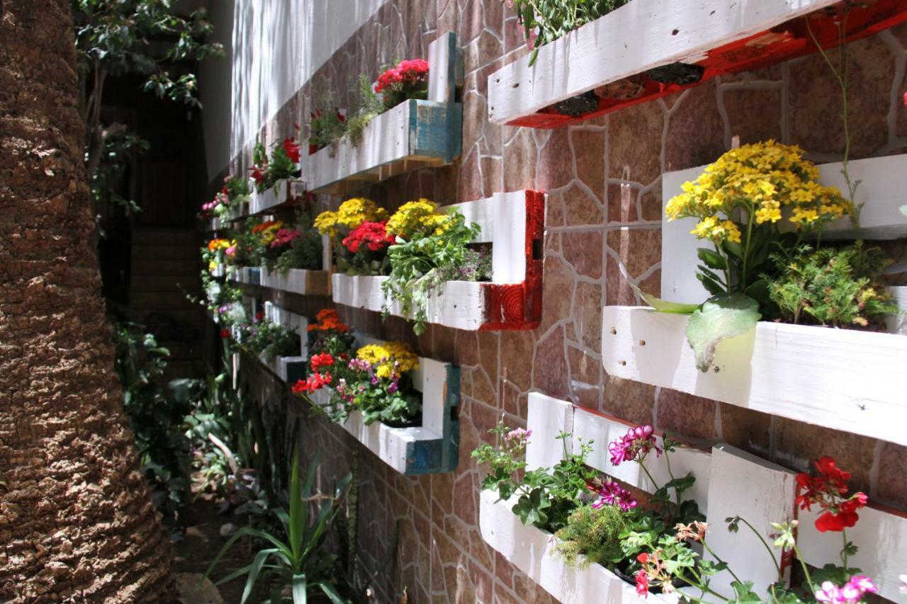 The Garden Hostel Las Palmas Exterior foto